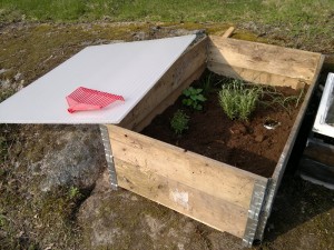 pallkrage-odla-i-pallkrage-plantera-tradgard-mindre